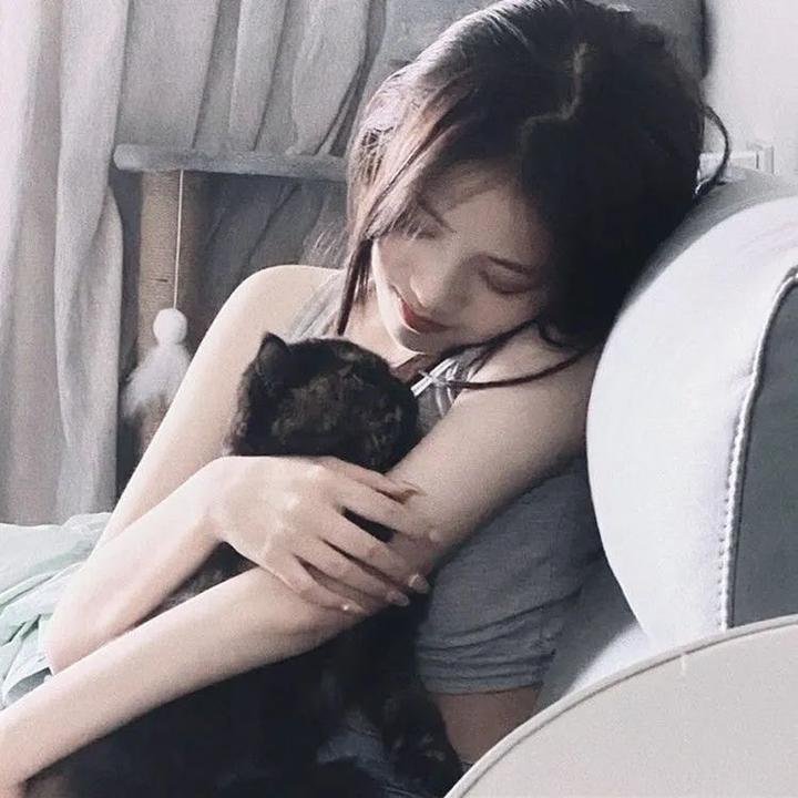 火舞风云